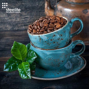 带盖北欧风轻奢女好看复古小众大号 英国steelite陶瓷咖啡杯碟套装