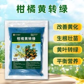 柑橘黄转绿改善黄化因艾柑橘黄化修复剂柑橘黄叶黄化调理高钙补钙