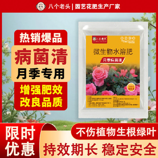 月季 花专用药黑斑白粉黄叶家庭园艺玫瑰蔷薇通用微生物 病菌清月季