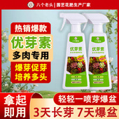多肉爆芽素多肉用优芽素爆侧芽促芽爆芽培育叶插苗多头生长素