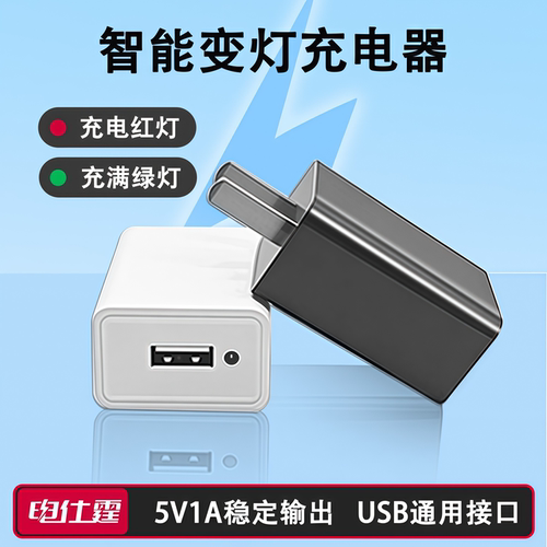 【电仕霆】正品5V1A智能变灯充电器蓝牙耳机随身wifi智能锁电话手表安卓老人手机通用1000mA小功率慢充电插头