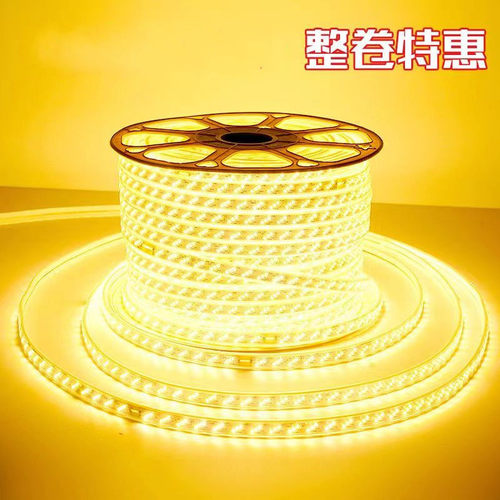 LED灯带户外防水220V超亮家用客厅吊顶工程三色装饰室外暖光灯带