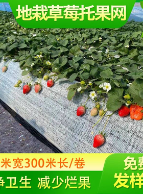 地栽草莓托果网草莓隔离网兜垫网白色遮阳网大棚草莓高架果托网