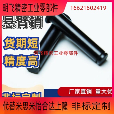 带肩铰链销开口销SHCMGL