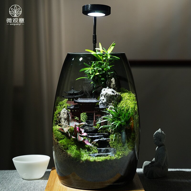 苔藓微景观生态瓶玻璃造景创意植物盆景办公室桌面盆栽礼物摆件