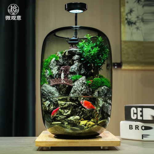流水苔藓微景观创意治愈小鱼缸