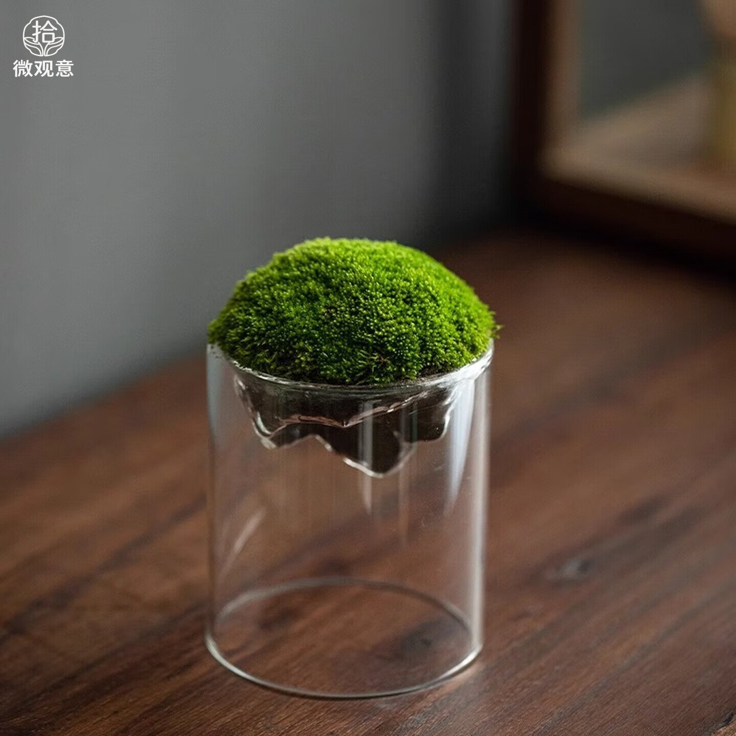 观山苔藓迷你微景观玻璃瓶透明