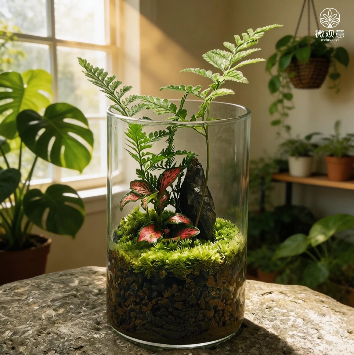 迷你生态瓶狼尾蕨苔藓绿植盆栽