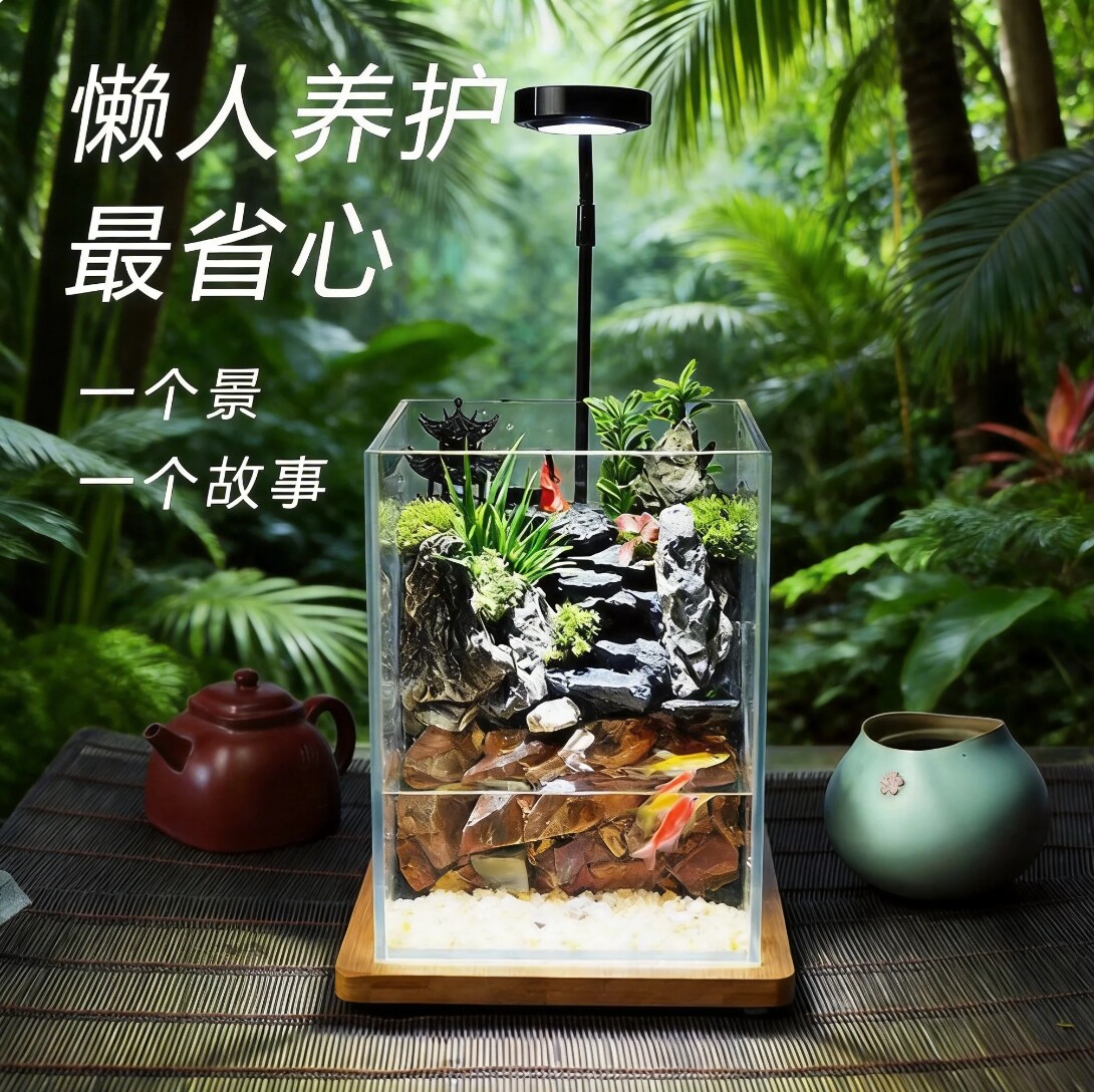 创意鱼缸苔藓微景观桌面盆景