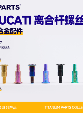 SPARTS斯坦 杜卡迪DUCATI 离合杆 钛合金螺丝 摩托车V4改装紧定金