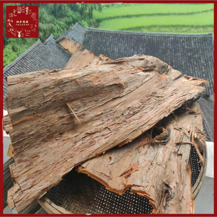 红豆杉树皮云南红豆杉高海拔紫杉醇含量高南方中药材树皮根叶果实