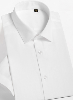 2025夏季新款纯棉抗皱男士白色短袖衬衫商务正装半袖丝光棉上衣