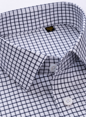 var200支高端全棉DP免烫长短袖格子男士衬衫商务休闲薄款西装外穿