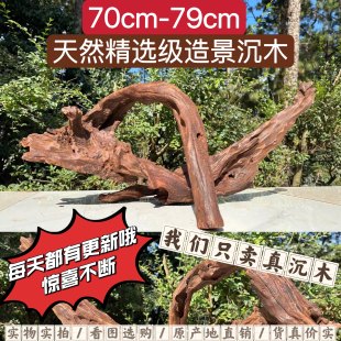 饰 70cm 79cm水族精品沉木造景树桩龟台紫柚木树洞大号拱桥摆件装