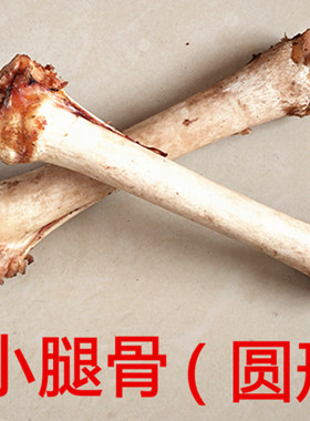diy骨头牙齿工艺品雕刻吊坠原料