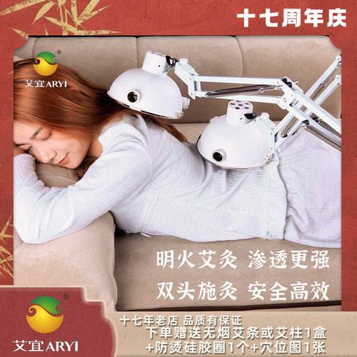 双头器具家用熏蒸一体机艾灸