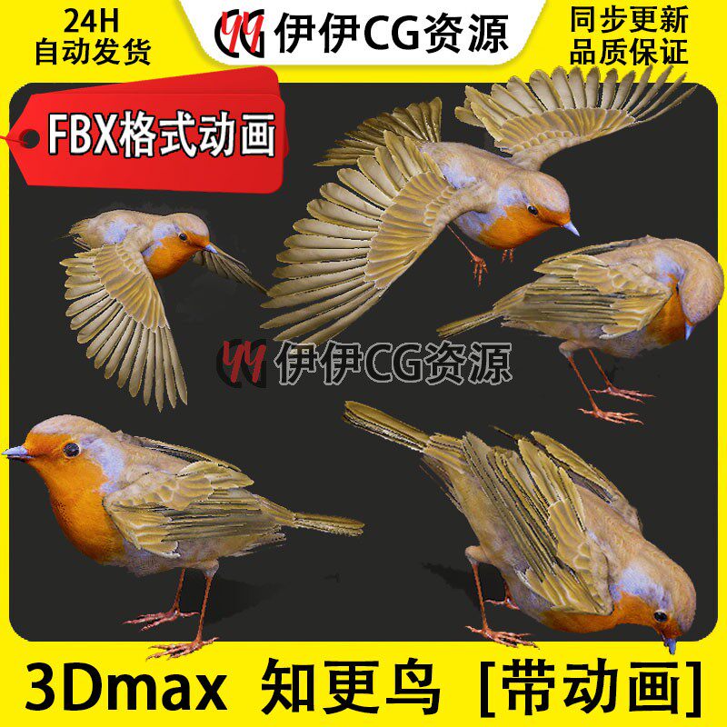 3DMax动物模型3D模型知更鸟喜鹊飞禽鸟麻雀FBX动画文件飞行Robin