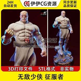 征服者Conquest《无敌少侠》3D打印模型STL文件数据手办素材