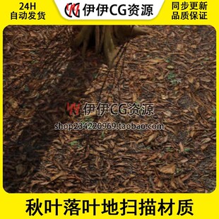UE5虚幻 秋叶落叶地扫描材质 Scanned Materials Leaves Vol. 1