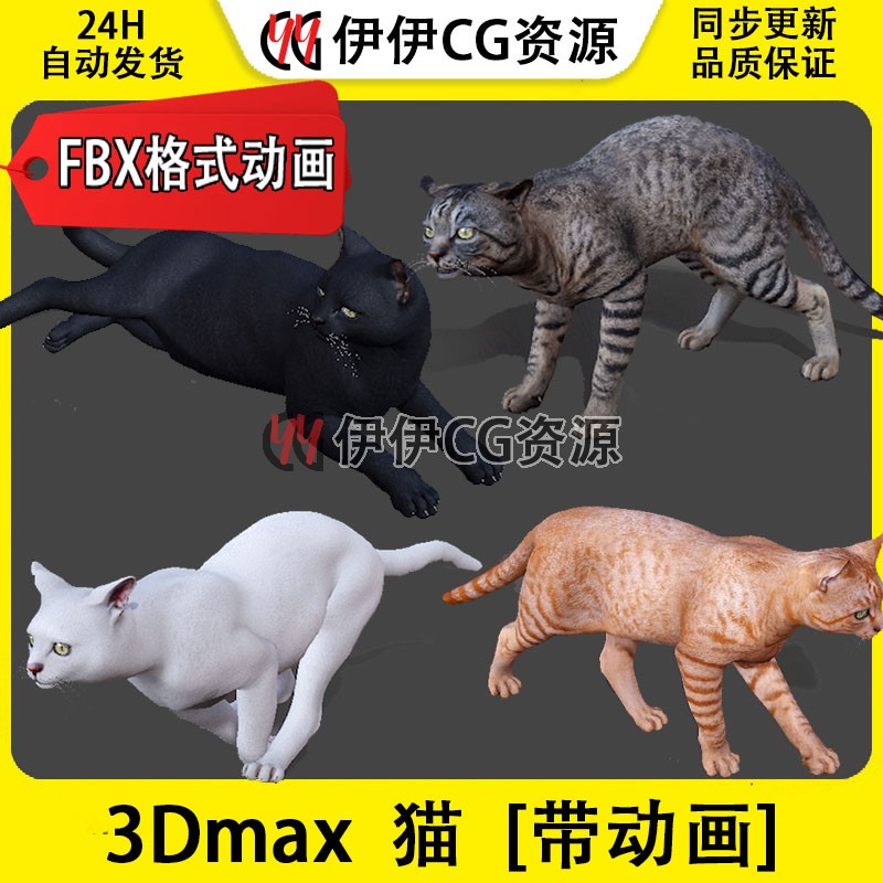 3D模型3DMax动物模型桔猫狸猫cat猫咪橘子猫桔猫FBX动画文件白猫