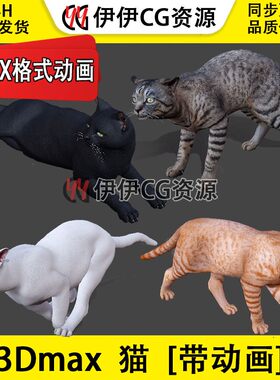 3D模型3DMax动物模型桔猫狸猫cat猫咪橘子猫桔猫FBX动画文件白猫