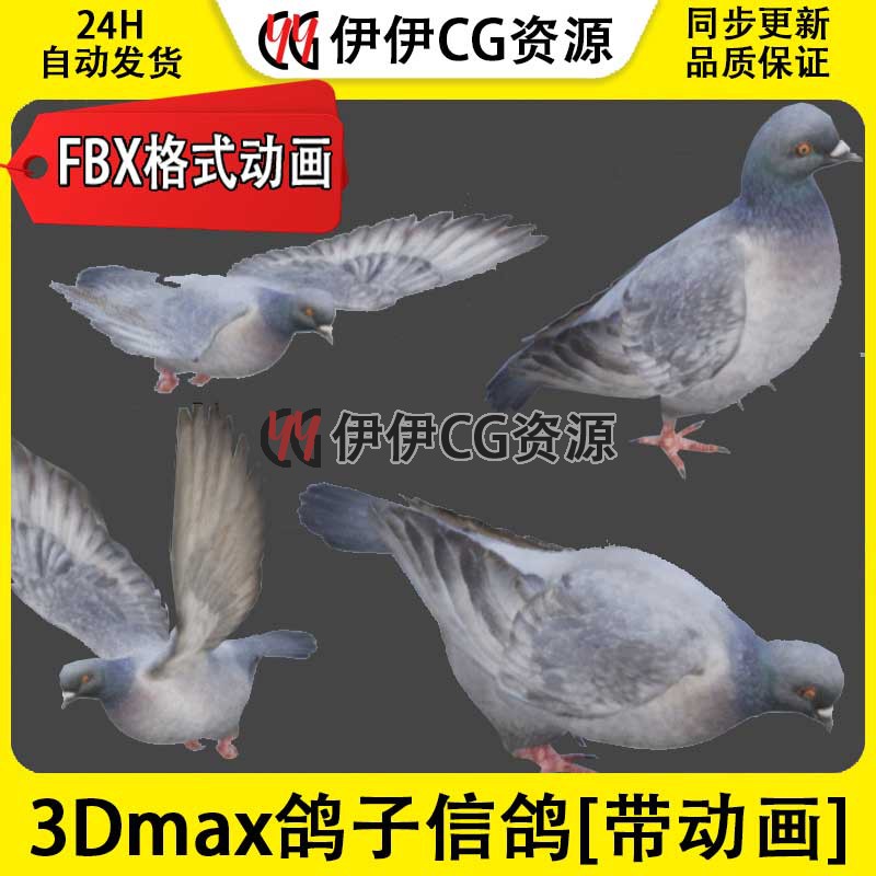 3D模型3DMax动物UE鸽子pigeon飞禽飞鸽信鸽和平鸽FBX动画骨骼绑定