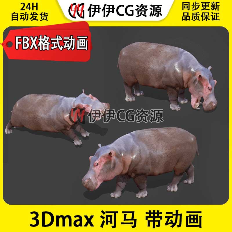 3DMax动物模型3D模型PBR河马Hippo非洲动物FBX动画文件50多套动作