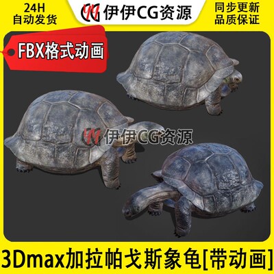 3D模型3DMax加拉帕戈斯陆龟海龟乌龟巨龟海洋FBX动画文件Tortoise