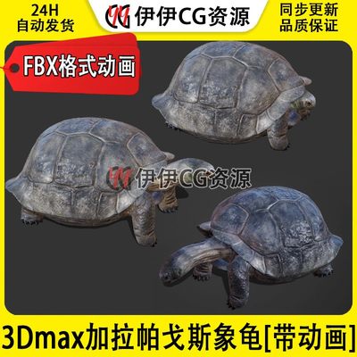 3D模型3DMax加拉帕戈斯陆龟海龟乌龟巨龟海洋FBX动画文件Tortoise