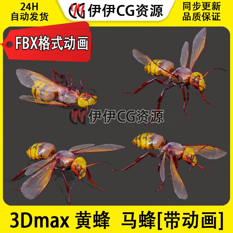 3DMax动物模型3D模型蜜蜂wasp黄蜂胡蜂马蜂虫类昆虫FBX动画文件