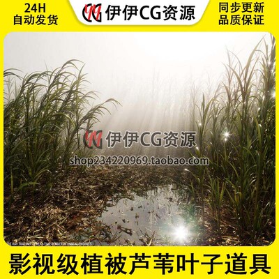 UE5虚幻5影视级植被芦苇叶子运动道具绿植草地Nanite Reed Vol.1