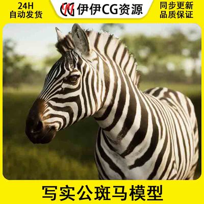 UE4虚幻5 Animalia - Zebra (male) 写实公斑马模型带动画