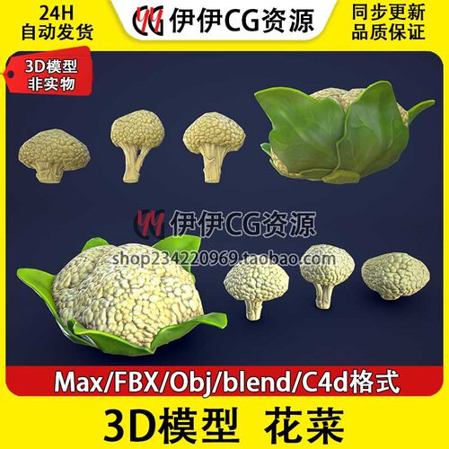 3D模型3DMax卡通FBX蔬菜 Cauliflower 花菜 PBR材质Blend OBJ C4D