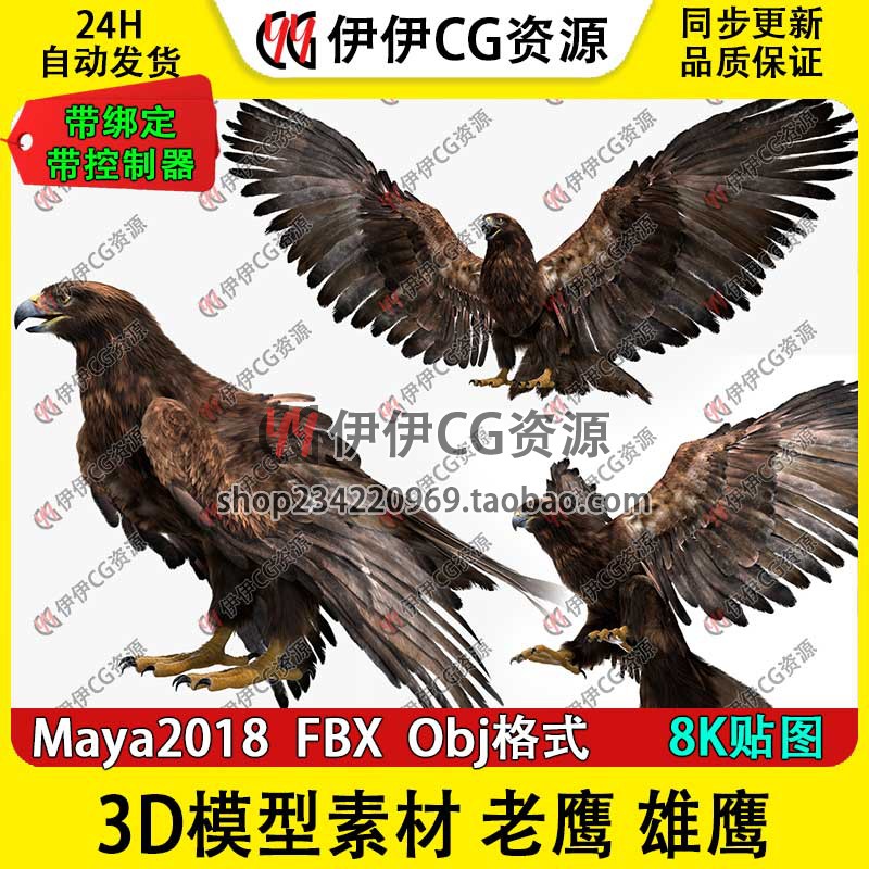3D模型maya老鹰雄鹰鸟类动物大雕骨骼绑定飞禽控制器turbosquid