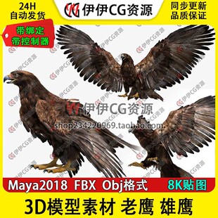 3D模型maya老鹰雄鹰鸟类动物大雕骨骼绑定飞禽控制器turbosquid