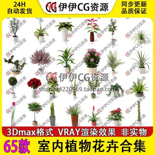 VRAY绿植室内盆栽植物摆件花园花卉盆景花盆花店 3D模型3Dmax设计
