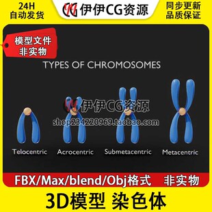 3D模型3Dmax医学结构解剖FBX生物细胞模型基因染色体blend格式OBJ