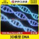3D模型素材3Dmax医学模型DNA脱氧核糖核酸螺旋分子结构遗传基因