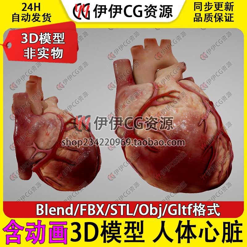 3D模型Blend医学人体心脏解剖FBX心血管心房Heart跳动动画STL文件