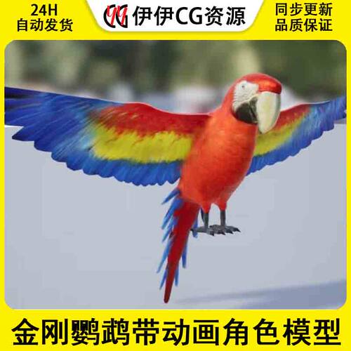 Medhue Parrot 4.26-5.3 UE4 UE5 虚幻5 金刚鹦鹉带动画角色模型