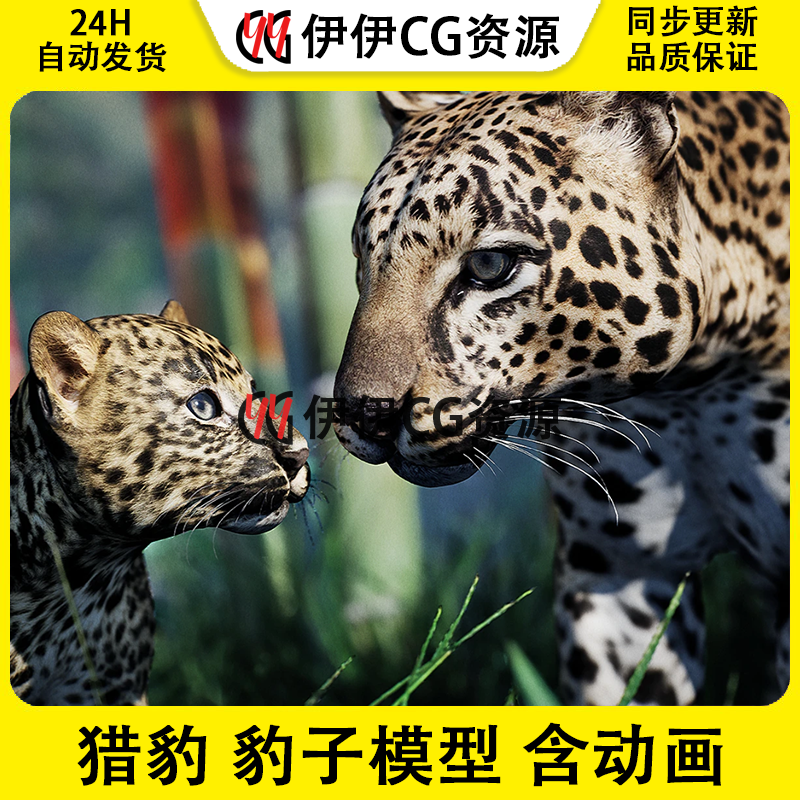 UE4虚幻5写实猎豹豹子模型 Animalia- Leopard(pack)最新版