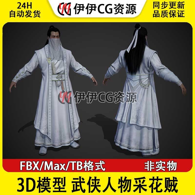 3D模型3Dmax次时代中国武侠人物飞贼采花贼采花大盗蒙面高手侠客