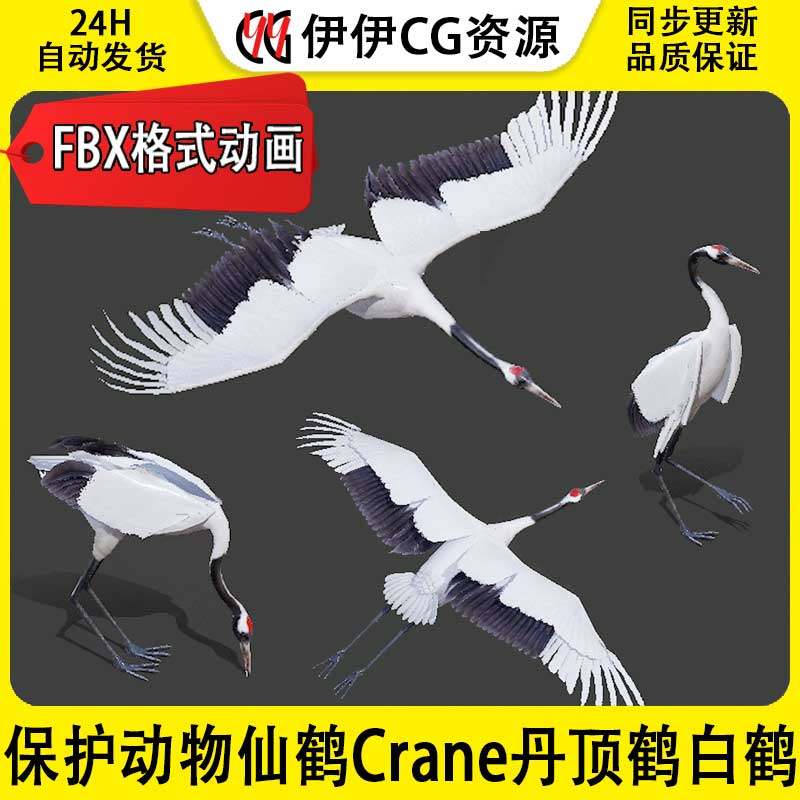 3DMax动物模型3D模型仙鹤Crane丹顶鹤白鹤飞禽保护动物FBX动画包