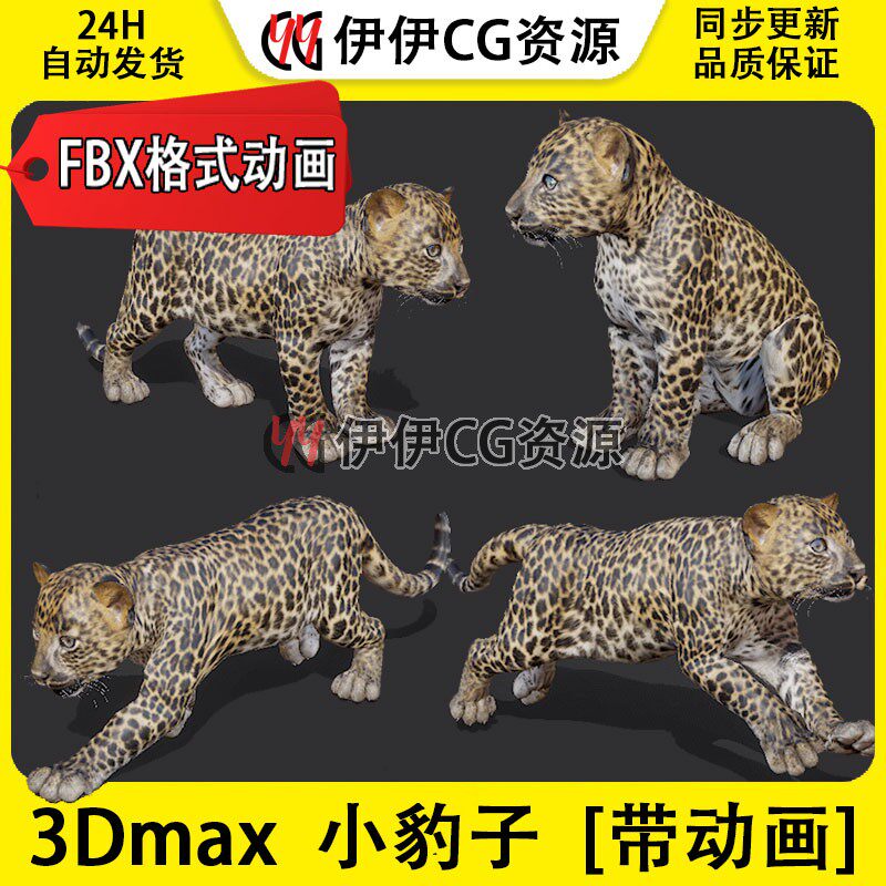 3D模型3DMax动物幼崽花豹小猎豹小豹金钱豹FBX动画文件leopard雪