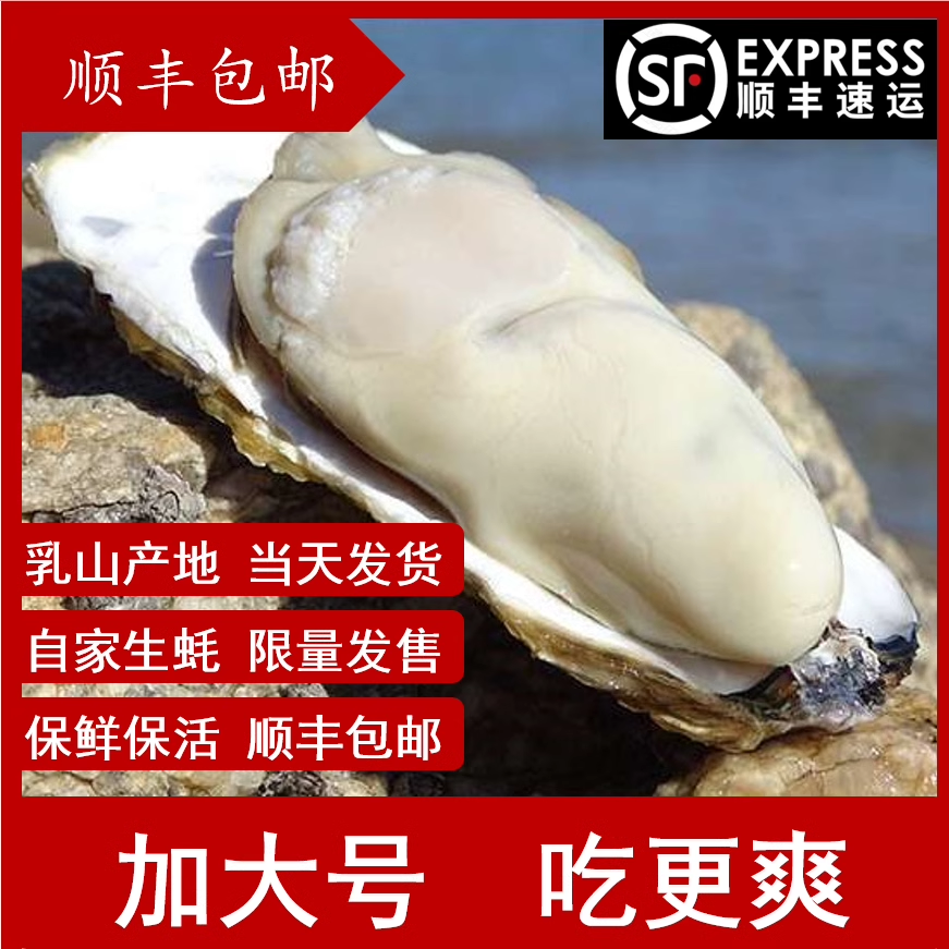 乳山野生生蚝鲜活10斤一箱保肥包邮特大带壳牡蛎即食宋氏蚝铺,水产肉类/新鲜蔬果/熟食,生蚝,淘宝优惠券,粉丝福利购,淘宝优惠卷
