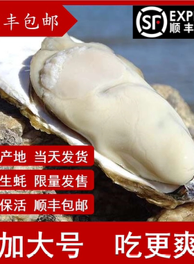 乳山生蚝野生鲜活宋氏蚝铺包邮