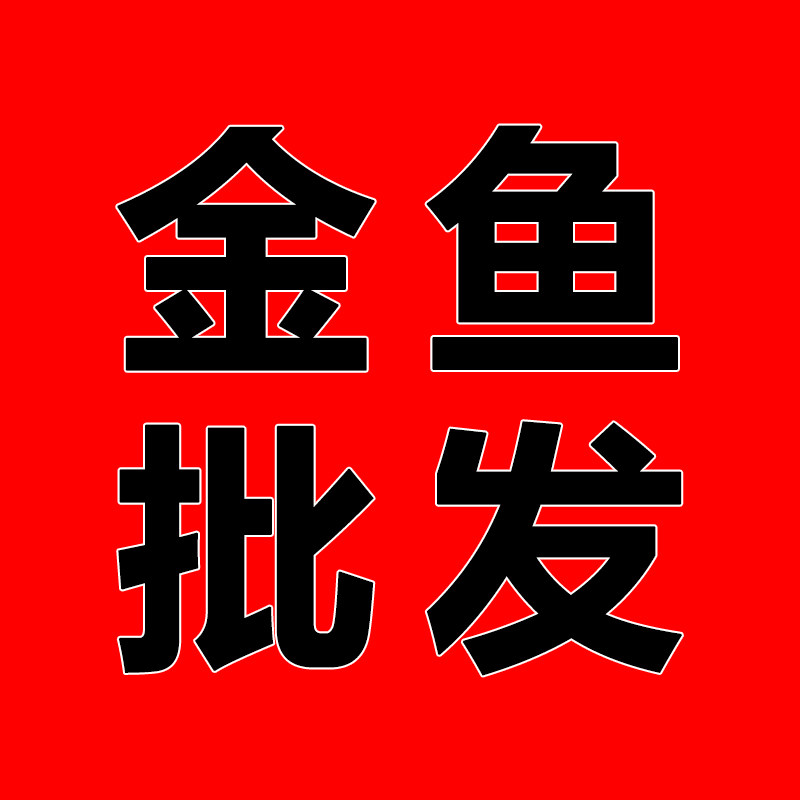 兰寿百褶泰狮蝶尾猫狮鼠头珍珠水泡凤高凤鹤鹤顶红丹凤金鱼孔雀鱼