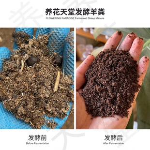 腐熟羊糞堆肥高溫發(fā)酵滅菌殺蟲無異味養(yǎng)花種菜園藝改土富含腐殖質(zhì)
