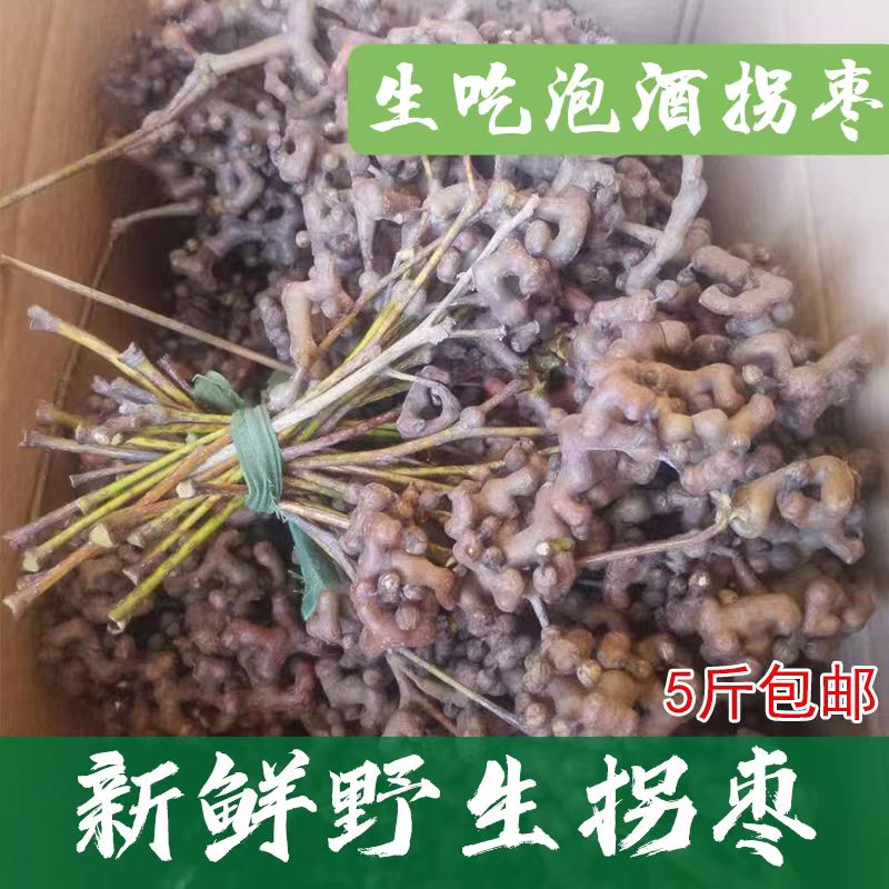 新鲜拐枣野生拐枣现摘现发