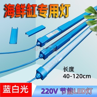 海鲜鱼缸灯LED灯条专用防溅水220v蓝白光海鲜池照明灯方管蓝配件